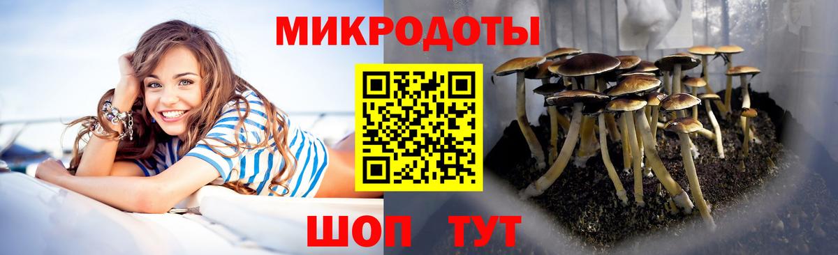 Галлюциногенные грибы Psilocybine cubensis Ялуторовск